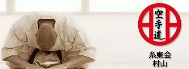 Image result for Shitokai Karate Club