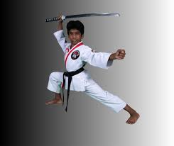 Image result for ATA Martial Arts Maple Ridge
