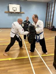 Image result for southern academy choi kwang do
