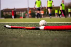 Image result for Ealing Eagles Ball Hockey Club