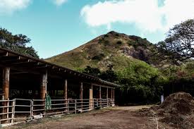 Image result for Cliff Hatch Stables