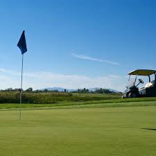 Image result for Cranfield Golf Academy