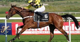 Image result for Exeter Harriers Limited