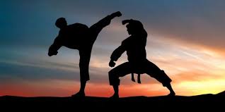 Image result for Taunton Karate academy