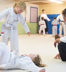 Image result for Bristol Karate Club