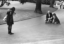 Attēlu rezultāti vaicājumam “Dianema depressum young”