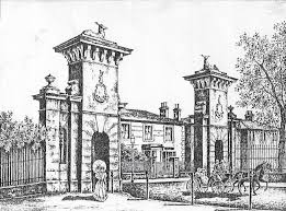 Image result for Southampton Stags