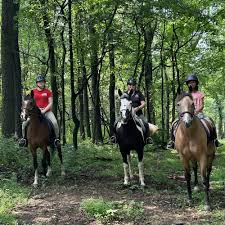 Image result for Beechwood Riding School
