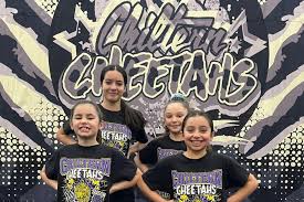 Image result for Chiltern Cheetahs