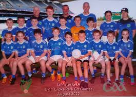 Image result for Culloville Gfc