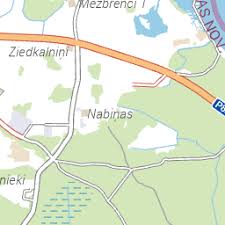 Attēlu rezultāti vaicājumam “Choerades sp.”