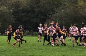 Image result for Finchley RFC