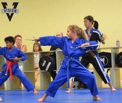Image result for Vision Martial Arts