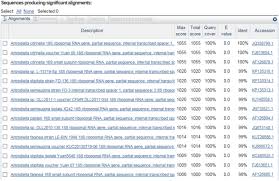Attēlu rezultāti vaicājumam “Flaviporus citrinellus”