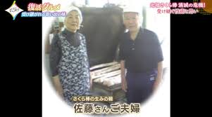 「桜さんご」の画像検索結果