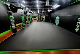 Image result for IXL Martial Arts