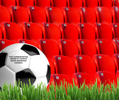 Image result for Benfleet Football Club