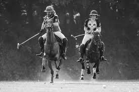 Image result for Taunton Vale Polo Club