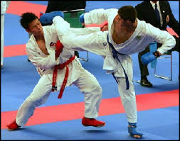 Image result for Shotokan Karate Union