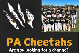 Image result for Cheetahs Softball Team