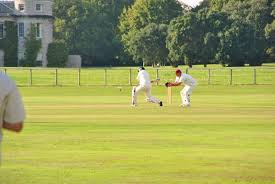 Image result for Lodsworth Stoolball Club