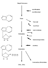 Physiology or Medicine 1988 - Press Release