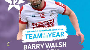 Image result for Killeagh Gaa