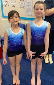 Image result for Forest Of Dean Gymnastics Club