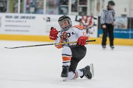 Image result for Telford Junior Ice Hockey Club