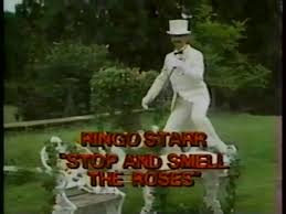 Image result for Wickford Majorettes