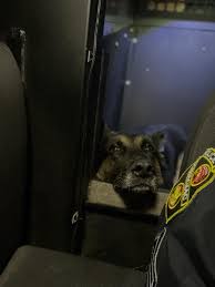 Image result for Bath Police Bowls Club