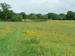 Image result for Horsforth Cc