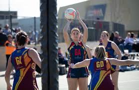 Image result for Whitton Netball Club