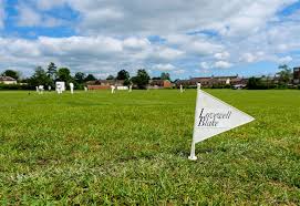 Image result for Dereham Cricket Club