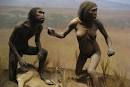 Exploring Human Origins | Prodiligo