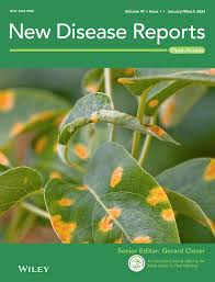 Attēlu rezultāti vaicājumam “Sawadaea tulasnei”