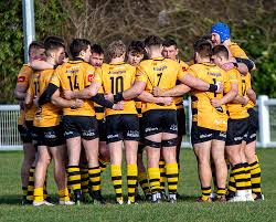 Image result for Rochford Hundred Rugby Club
