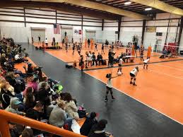 Image result for Tendring Volleyball Club