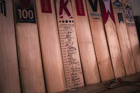 Image result for Pannal Cricket Club