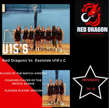Image result for Red Dragon Netball Team