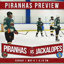 Image result for Piranhas Inline Hockey Club