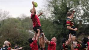 Image result for Bingham Rugby Union Football Club