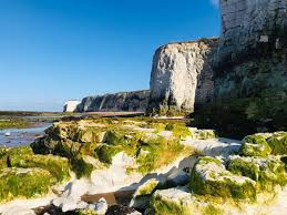 Image result for Botany Bay Cricket Club