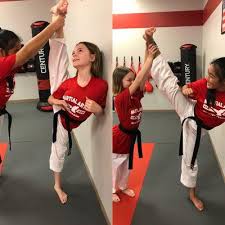 Image result for Bushido Academy Of Martial Arts (Bama)