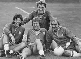 Image result for Herdings Park Football Club