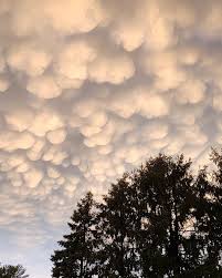 Attēlu rezultāti vaicājumam “Mammatus”