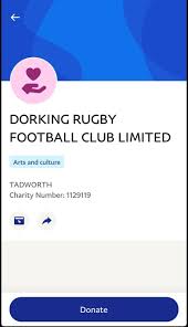 Image result for Dorking Football Club Limited