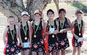 Image result for Pinehurst Netball Club