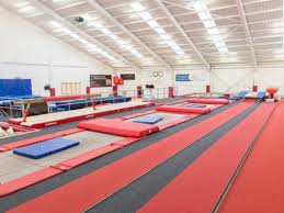 Image result for Mk Springers Gymnastics Club