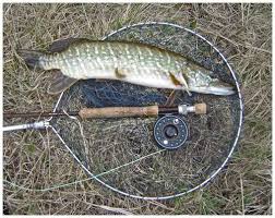 Image result for Airdrie & District Angling Club